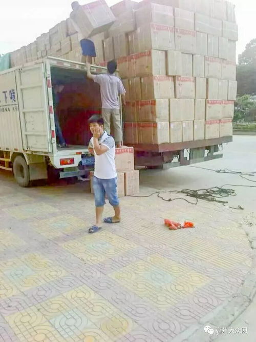 高州市環華裝卸服務部 以專業搬運裝卸與一流打包服務，樹立行業標桿